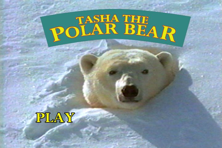 Tasha the Polar Bear DVD Menu